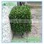 Indoor artificial plastic boxwood hedge for decoration