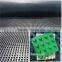 Underground waterproof Plastic Drainage Sheet Dimple Drainage Board