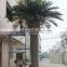 GNW APM015 decorative artificial royal palm tree 5m high for outdoor landscape decoration