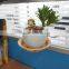 Reuseable and Removeable Wall Mounted Flower pot holder