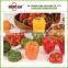 Plastic fruit shape Pepper saver