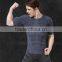 seamless gym apparel men t-shirt print short sleeves with comfortable wicking fibres feature from Fujian