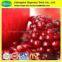 Natural ellagic acid 40% pomegranate bark extract powder