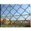 Chain Link netting