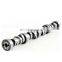 12625436 NEW ENGINE INLET Camshaft  OEM MC1394  E1874S fits for 5.3L