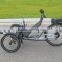Electric Recumbent Trike Built for One