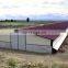 Prefab Steel Structure Poultry Farm Construction Shed House for Layer and Broiler Birds