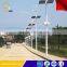 Intelligent LED Solar Street Light Wholesale Price From China