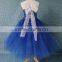 Kids new elsa dress movie formal dress and snowflake fabric for elsa