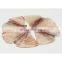 Raw material Wholesale squid wing in stock
