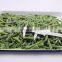 Frozen Green Beans Cut IQF Green Beans Cut Frozen 2-6 Green Beans Cut