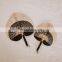 Hot Sale Custom Color Rustic Palm Leaf Hand Fan Wall Art Woven Bamboo Wall Hanging Decor Cheap Wholesale