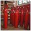 Hydraulic Cylinders for Marine Crane Use Offshore