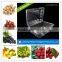 blister disposable plastic blueberry fruit packaging container