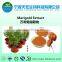 marigold flower extract/ lutein powder/ zeaxanthin powder