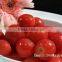 Canned tomato paste brix28-30% ,hot sell with high quality