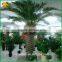 outdoor palm plants artificial date plam tree