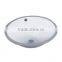 D1603 Art Basins/bathroom Basins/stone Basins/Pedestal Basin