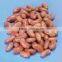 Raw Peanuts Kernel From China