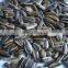 Roasted Salted Black Sunflower Seeds With high quality