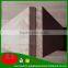 paulownia plywood price PK paulownia wood for surfboards