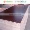 Building Construction Materials Concrete Shuttering Panel for Sale