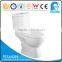 Factory Productuon Bathroom Design Western Style Washdown Ceramic Toilet