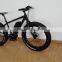 26inch Al Alloy Frame Torque Sensor Mid Motor Mountain Electric Bike