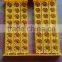 Incubator for Quail Eggs 96 Pcs Quail Incubator for Sale