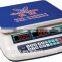 electronic price computing scale 30kg,digital price scale electronic bench scale with steel pan