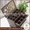 Made in China Art Minds Display Wood Jewelry Box