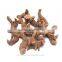 Lowest Price Premium Dried Galangal Roots