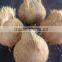 excellence coconut exporter
