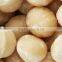 macadamia nuts