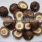 Shiitake Mushroom