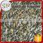 2016 new crop gws planting pumpkin seed in high quality