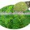 GMP Certified Factory Supply Natural Moringa Oleifera Powder