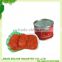 ketchup paste with high quality