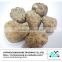 Dried shiitake mushroom extract prices