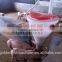 Pig Breeding Equipment/pig farming equipment/equipment for pig/piglet equipment