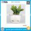 Cute Elephant Ceramic Succulent Plant Flower Pot Flowerpot Planter Nursery Pot