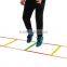 removable plastic agility ladder for Football Training