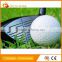2 pcs promotion golf ball in bluk