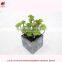 Artificial tropical plants in pot mini green plant artificial succulent for garden arrangement