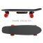 HSJ94 Outdoor powerful 4 wheels sport fish electric skateboard small fish plate