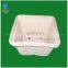 Eco-friendly molded pulp plant pot design