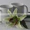 11oz sublimation white blank ceramic mugs coffee cup