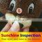 third party inspection company to check toy quality / pre-shipment inspection