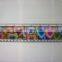 UV printed lenticular effect 100cm plastic ruler