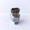 High Pressure Common Rail Pressure Sensor 499000-6160